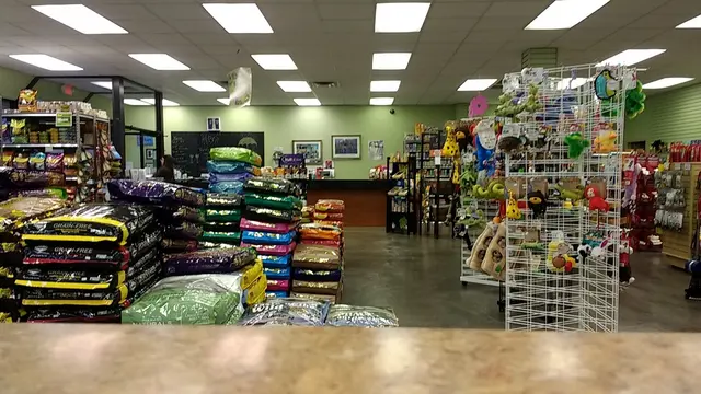 A1 Pet Emporium — customer photo 3