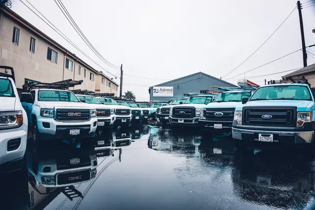 Admiral Pest Control — photo from the business 2