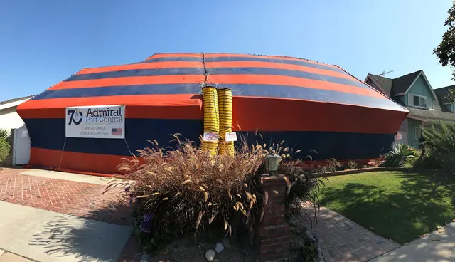 Admiral Pest Control — photo from the business 8