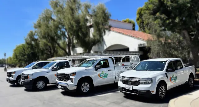 All Pest Pros — photo from the business 1