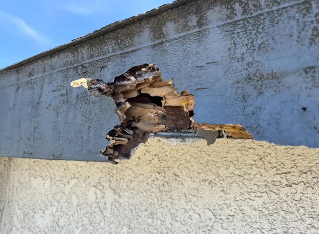 All Pest Pros — photo from the business 4