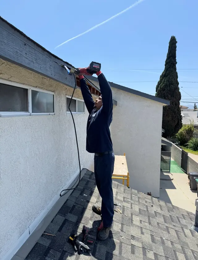 All Pest Pros — photo from the business 2