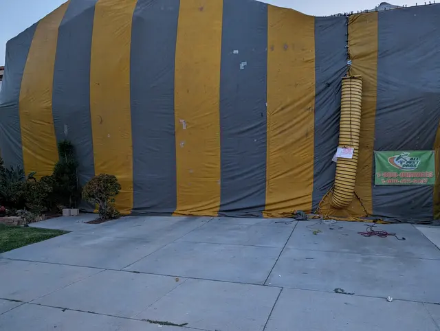 All Pest Pros — customer photo 12