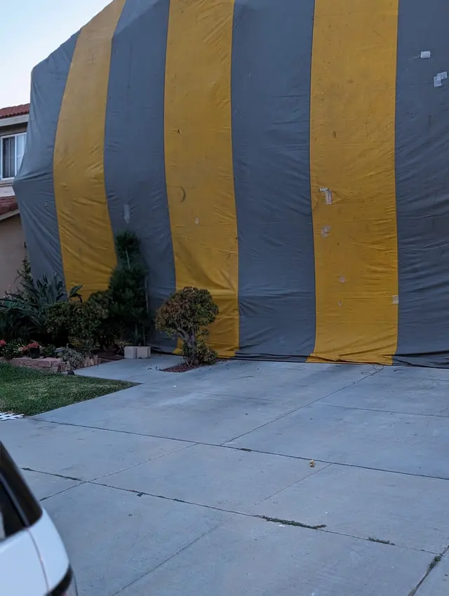 All Pest Pros — customer photo 8