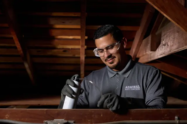 Admiral Pest Control — photo from the business 11