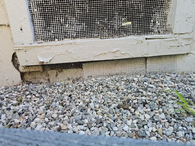 Premium Termite & Pest Control — customer photo 2