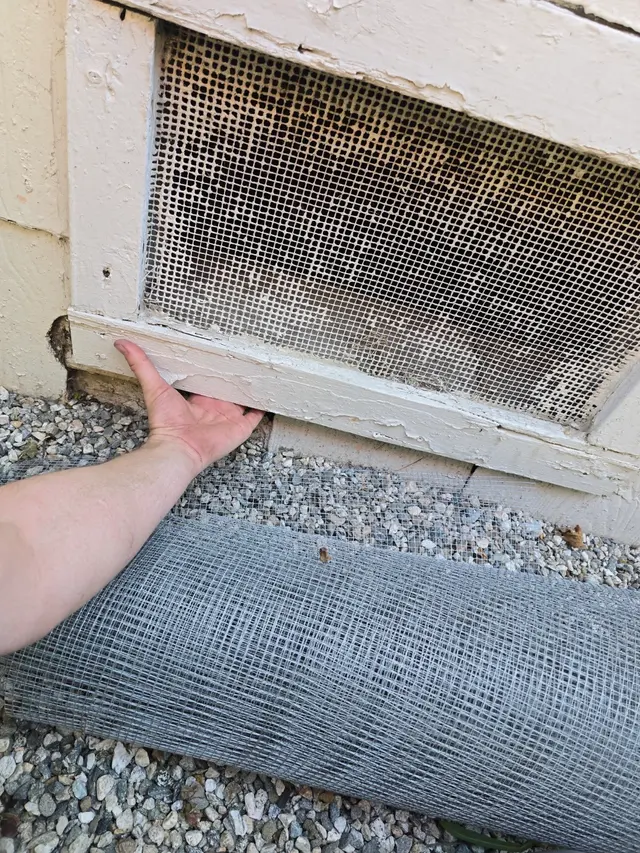 Premium Termite & Pest Control — customer photo 8