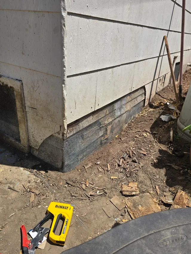 Premium Termite & Pest Control — customer photo 7