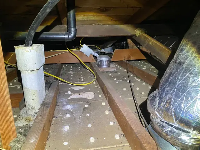 Rodent Control Inc. — customer photo 12