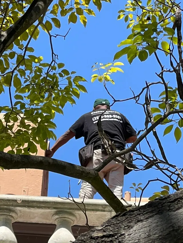 Rodent Control Inc. — photo from the business 11