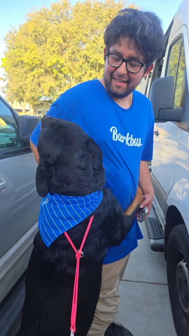 Barkbus Mobile Dog Grooming — customer photo 10