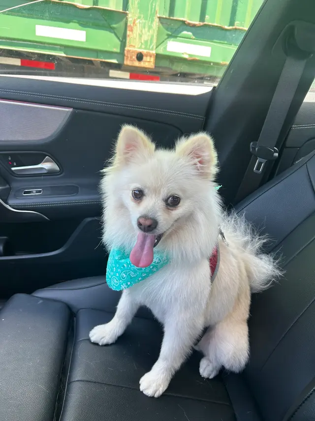 Customer photo from Ivy's review