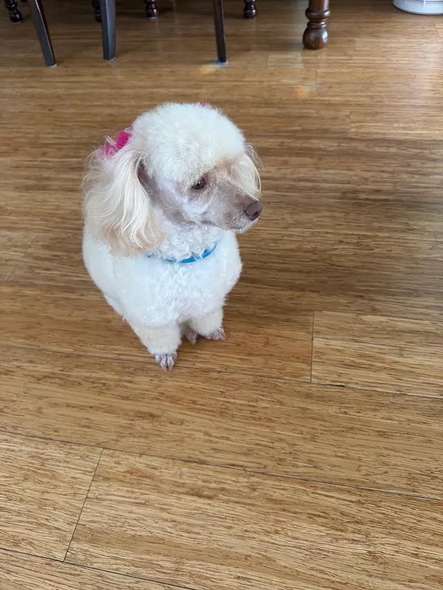 Customer photo from Maria's review