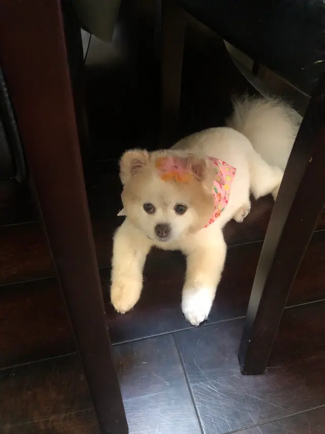 Customer photo from Tony's review