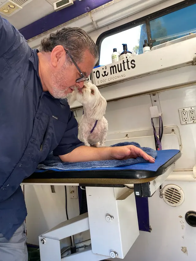 Customer photo of work by The Metro Mutts Pet Grooming Services, from Bonnie Ann Baker's review
