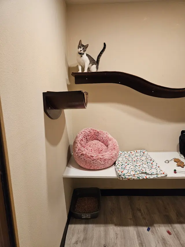 The Spaw — customer photo 2