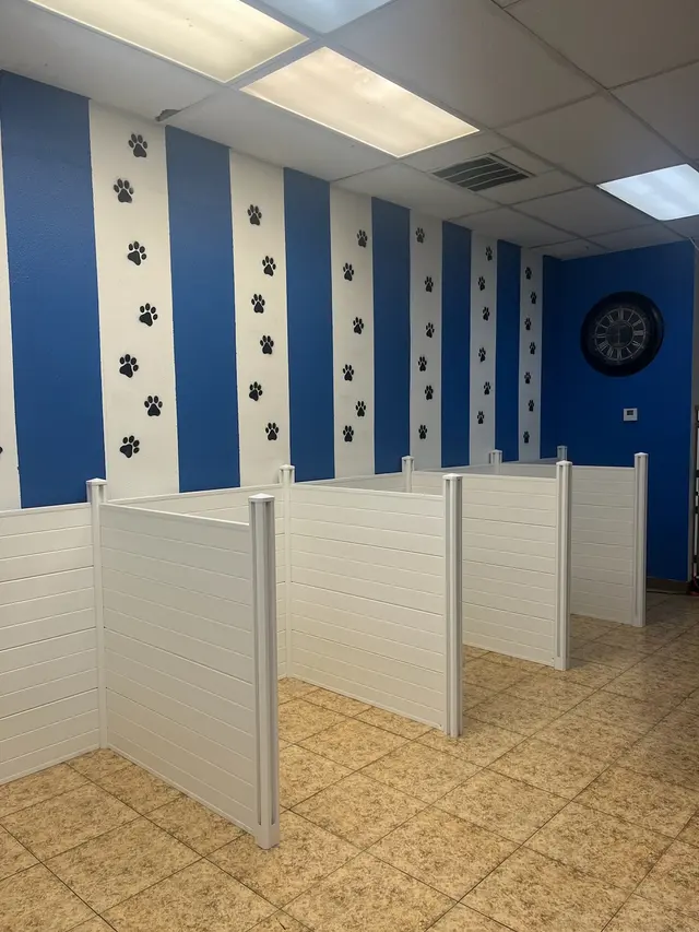Blue Ribbon Pet Grooming — photo from the business 12