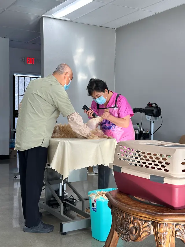Happy Cat Grooming — customer photo 6