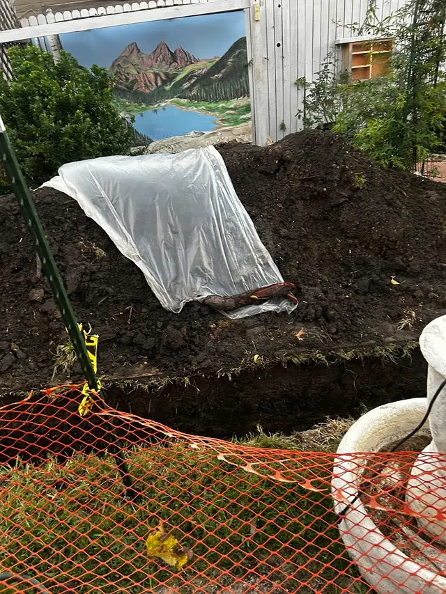 RWD Services LLC — customer photo 8