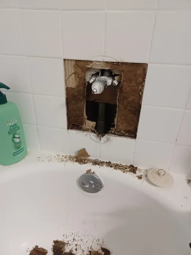 Premier Plumbing Solutions — photo from the business 7