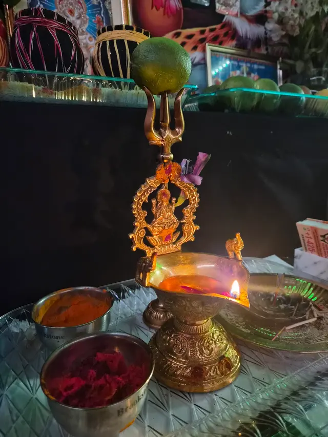 Indian Psychic Vedic Astrologer & Spiritual Healer Master ShriRam — photo from the business 12