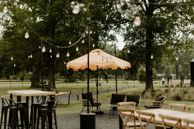Sainte Terre — photo from the business 8