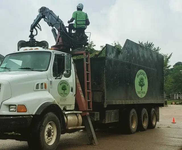 Barone's Tree Pros LLC — photo from the business 5