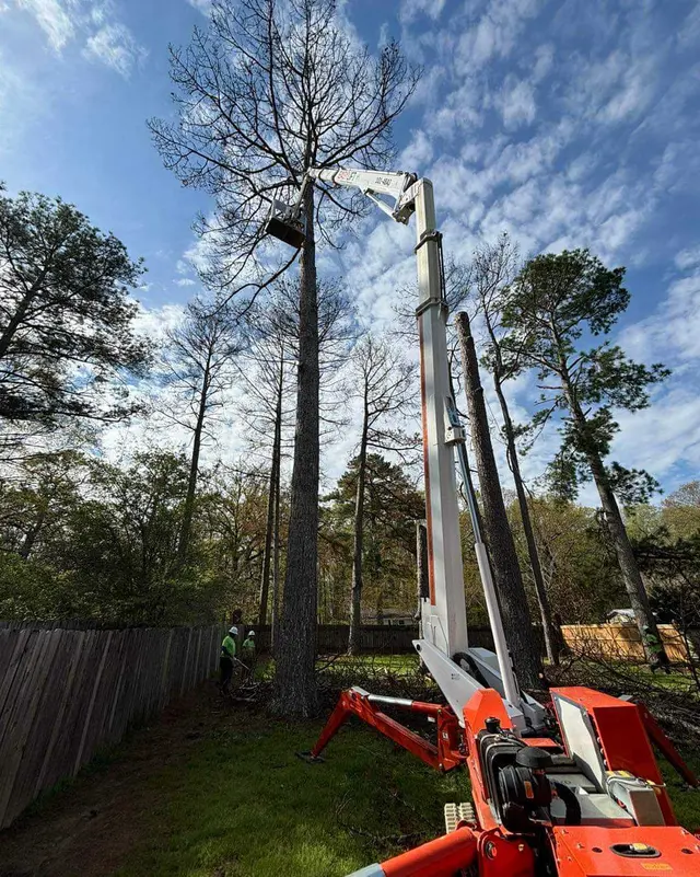 Barone's Tree Pros LLC — photo from the business 3