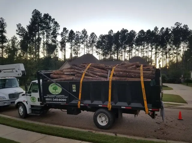 Barone's Tree Pros LLC — photo from the business 10