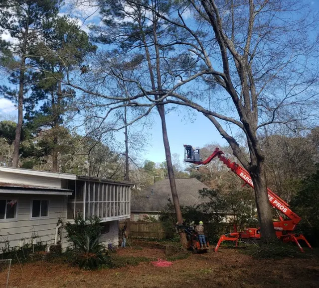 Barone's Tree Pros LLC — photo from the business 7