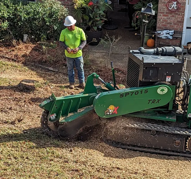 Barone's Tree Pros LLC — customer photo 11