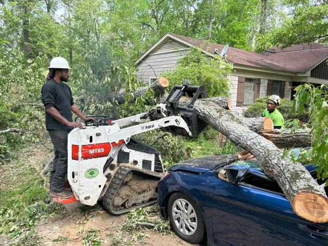 Barone's Tree Pros LLC — photo from the business 8