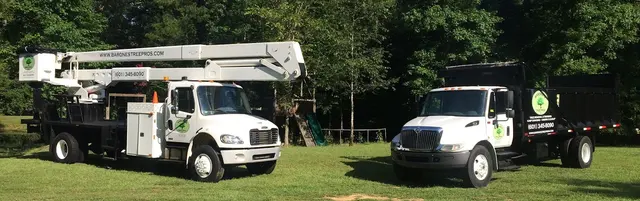 Barone's Tree Pros LLC — photo from the business 1