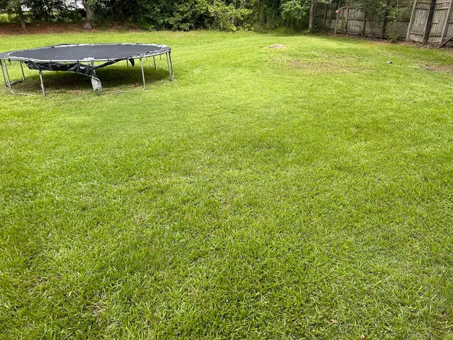 S And J Lawn Care LLC — customer photo 11