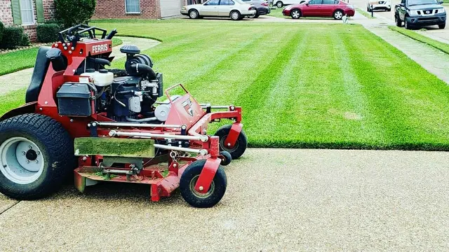 Southern Style Lawn Care — photo from the business 1