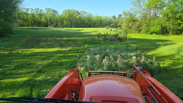 Southern Style Lawn Care — photo from the business 10