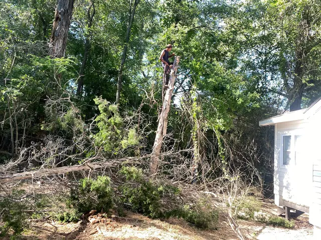 Gifted Hands Lawncare & Hauling — customer photo 5