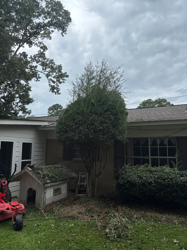 Gifted Hands Lawncare & Hauling — photo from the business 8