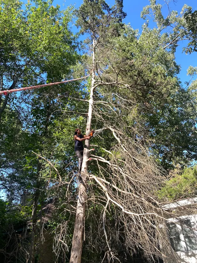Gifted Hands Lawncare & Hauling — customer photo 12