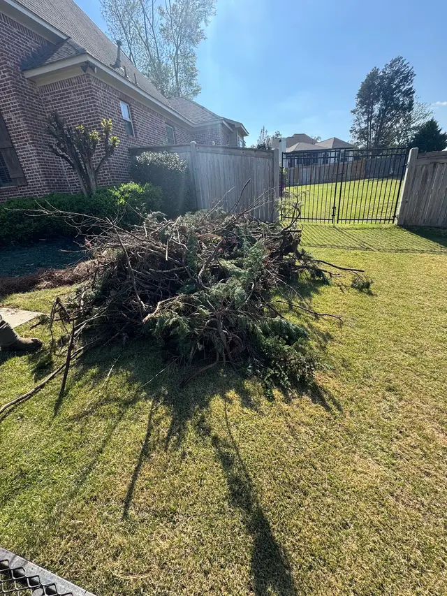 Advanced Junk Removal — photo from the business 12