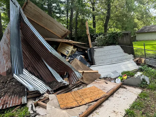 Advanced Junk Removal — photo from the business 6