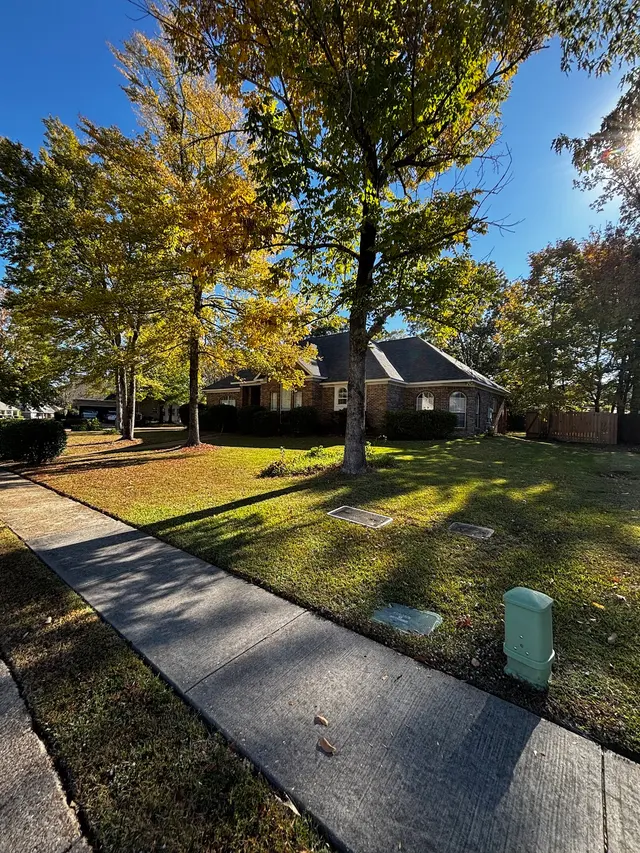 Precision Lawn & Landscape Mississippi — photo from the business 12