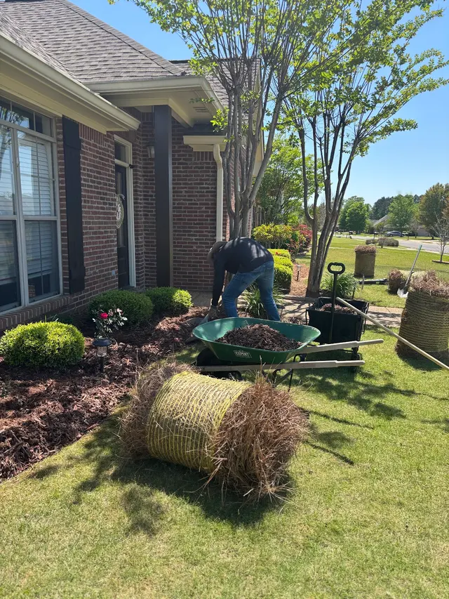 Precision Lawn & Landscape Mississippi — photo from the business 4