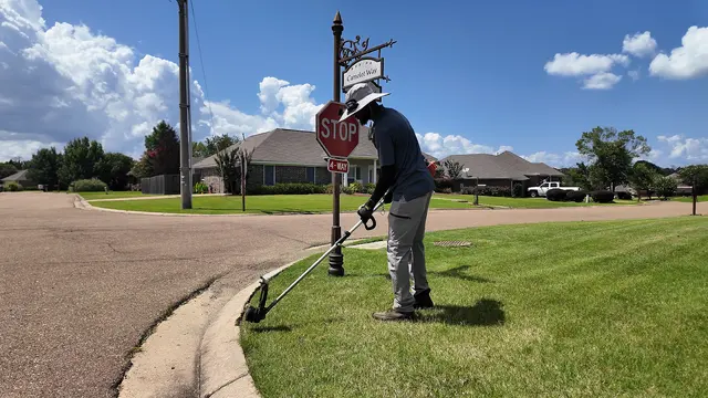 Precision Lawn & Landscape Mississippi — photo from the business 5