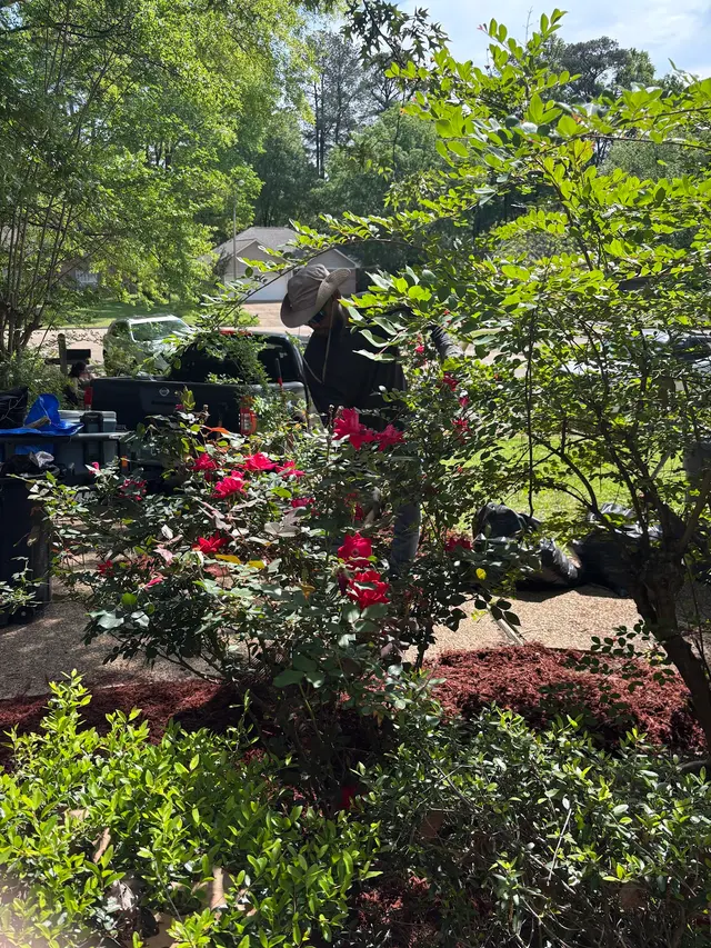 Precision Lawn & Landscape Mississippi — photo from the business 6