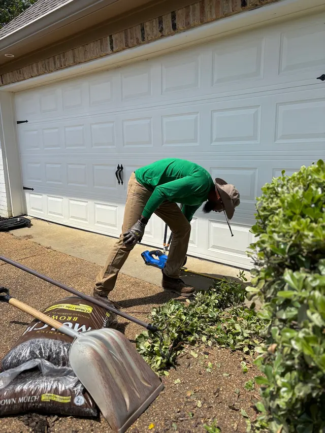 Precision Lawn & Landscape Mississippi — photo from the business 9