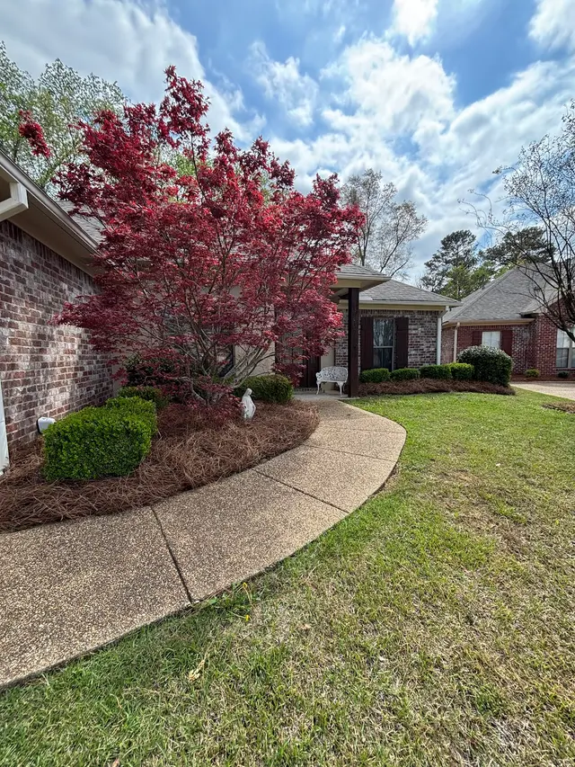 Precision Lawn & Landscape Mississippi — photo from the business 2