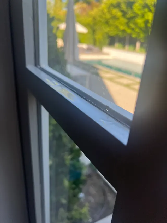 Laguna Window Washing — customer photo 11
