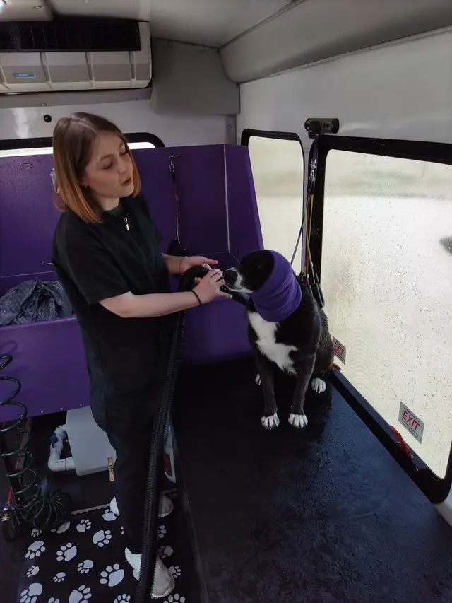 Lucky Dog Mobile Groomers – Wichita, KS — photo from the business 9