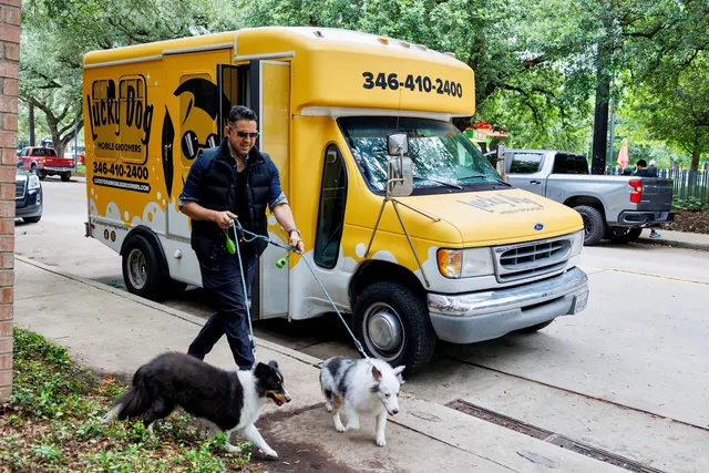 Lucky Dog Mobile Groomers – Wichita, KS — photo from the business 10